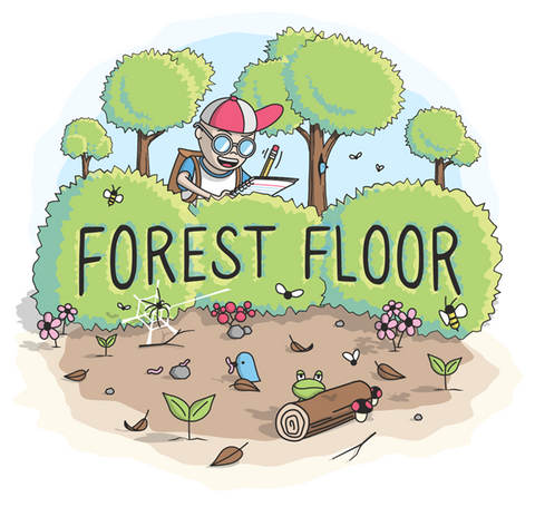 Forest Floor