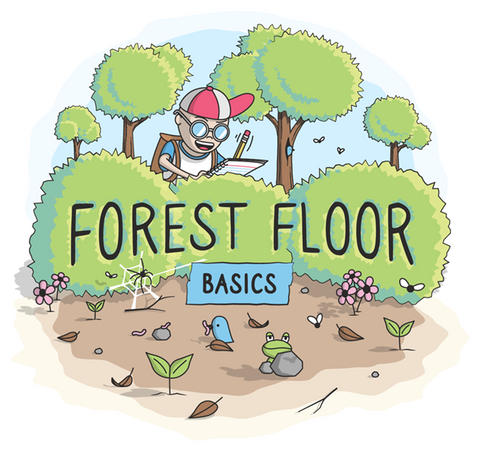 Forest Floor Basics